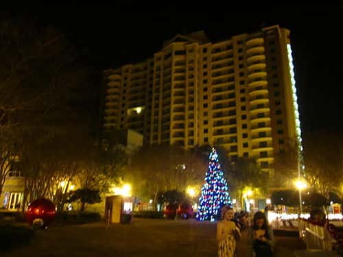 Tallahassee during Christmas.jpg