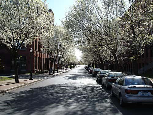 FranklinSquare2.jpg
