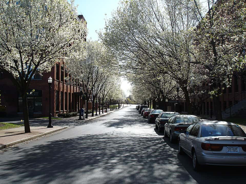 File:FranklinSquare2.jpg